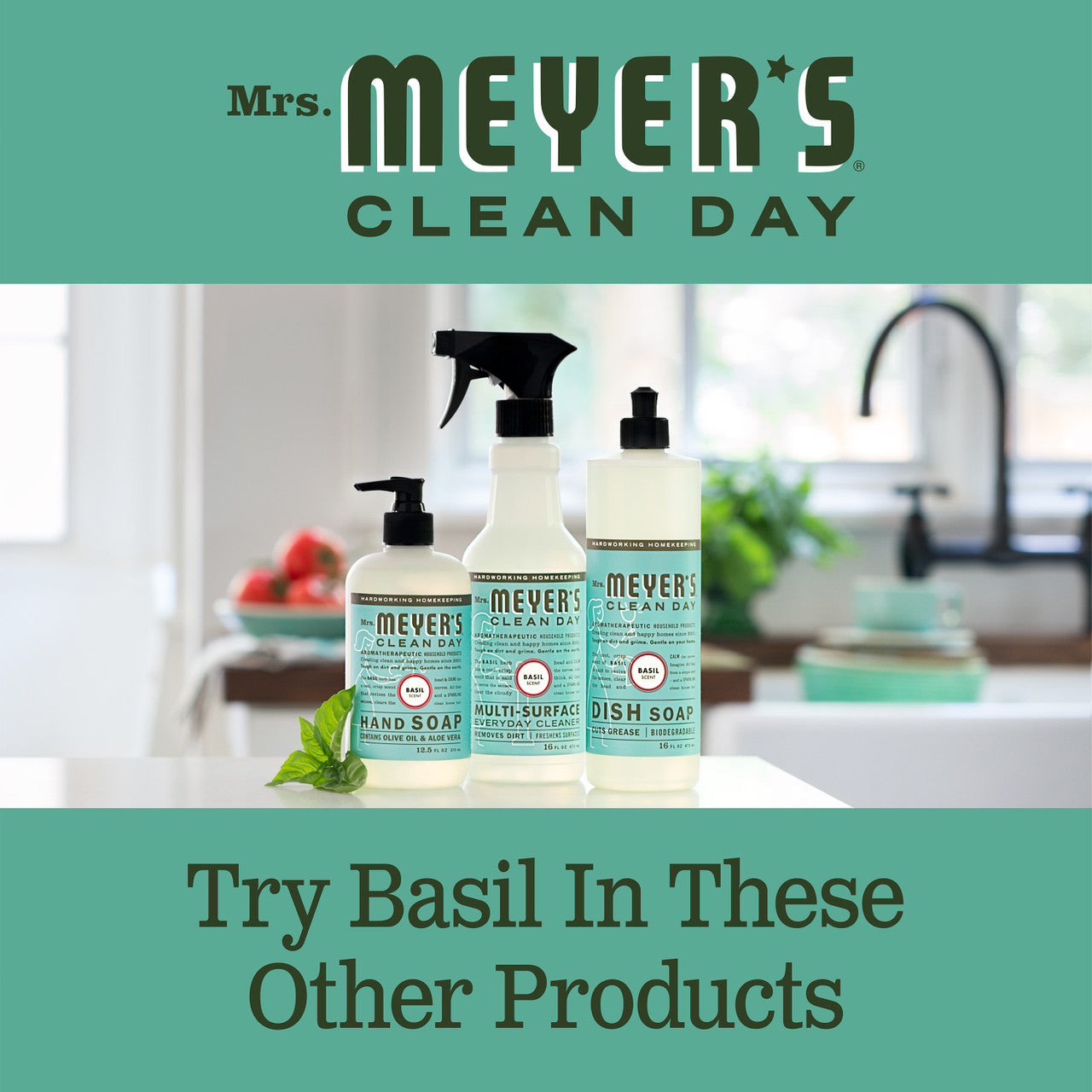 Meyers Basil Liquid Hand Soap (6x12.5 Oz)